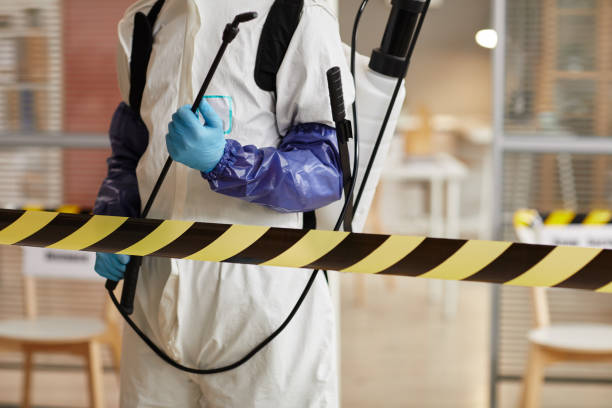 Professional Odor Removal technician working in Sullivan, OH